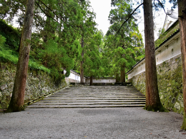 飫肥城_中之丸西側から松尾之丸に続く道02