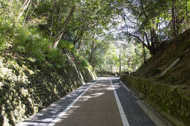 伊賀上野城 筒井古城の小路と石垣