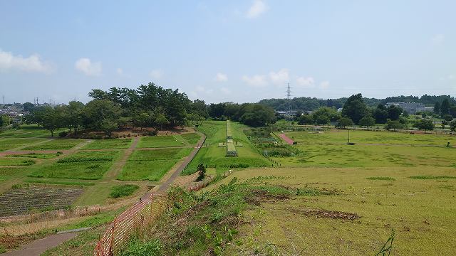 多賀城跡_南東隅の櫓丘と土塀跡01