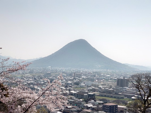丸亀城_本丸辰巳櫓跡から見た讃岐富士と桜