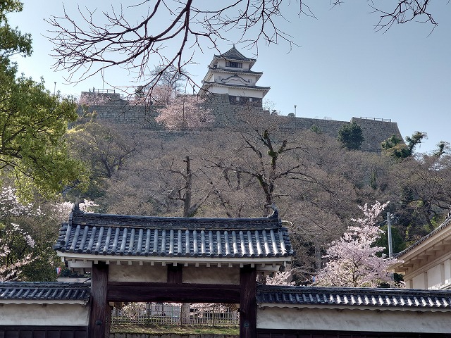 丸亀城 天守と高石垣(大手二の門からの眺め)