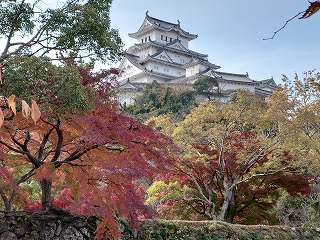 姫路城(シロトピア公園から見た)