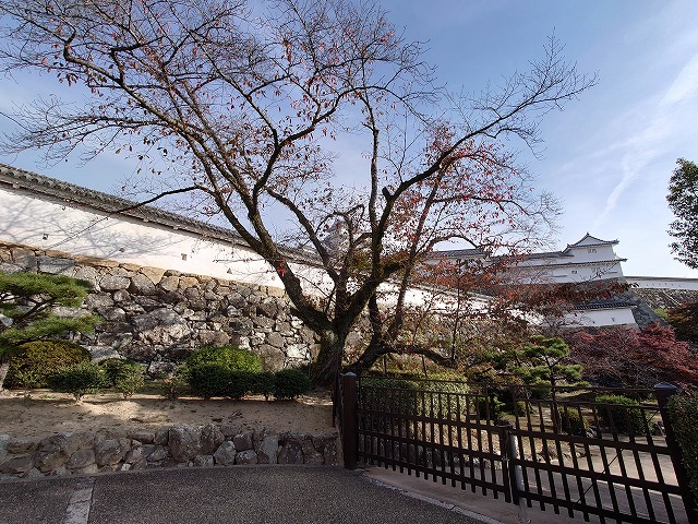 姫路城 菱の門東方石垣と土塀