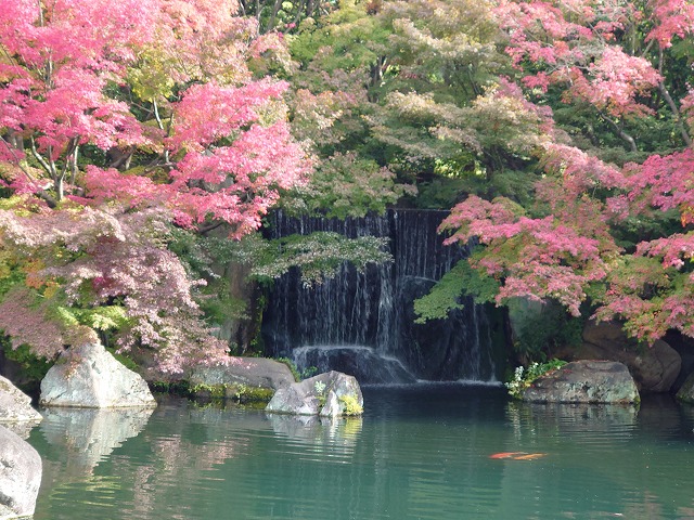 姫路城 好古園 御屋敷の庭(紅葉と滝)