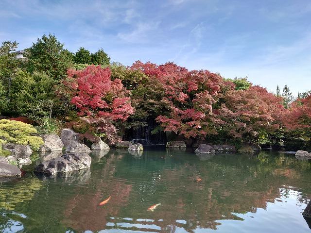 姫路城 好古園 御屋敷の庭(紅葉と滝、遠景)