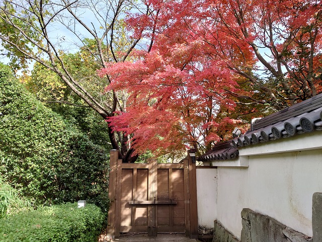 姫路城 好古園 御屋敷の庭(出口付近の紅葉)