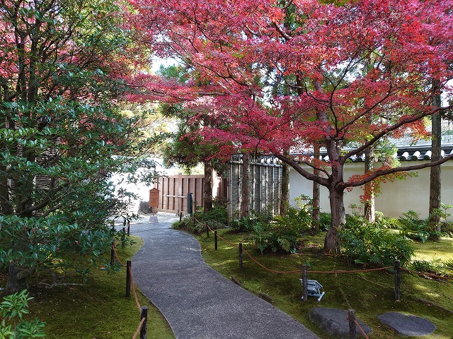 姫路城 好古園(お屋敷跡庭園)入口付近の紅葉