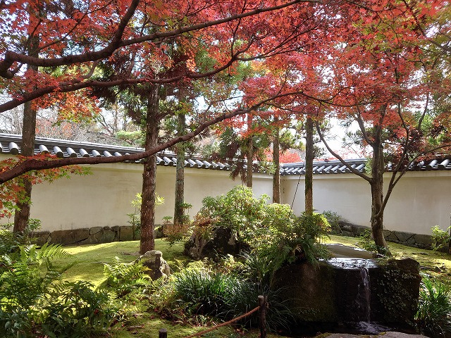 姫路城 好古園入口の紅葉と湧水