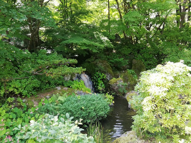 翠楽苑 庭園内の滝