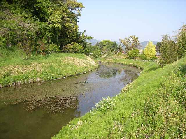 湯築城_内堀（南側）01