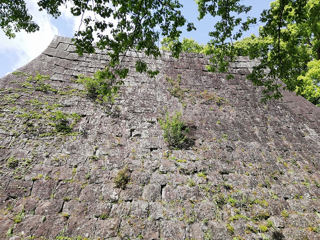 和歌山城 南の丸高石垣