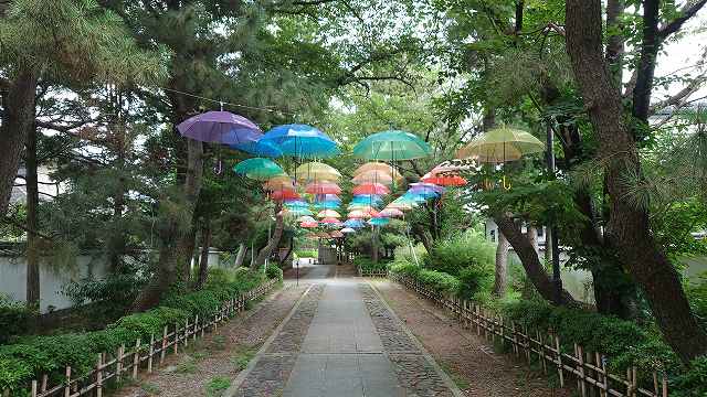 忍城_行田市役所から城へ続く道02