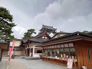 岡崎城 天守と龍城神社(遠景)