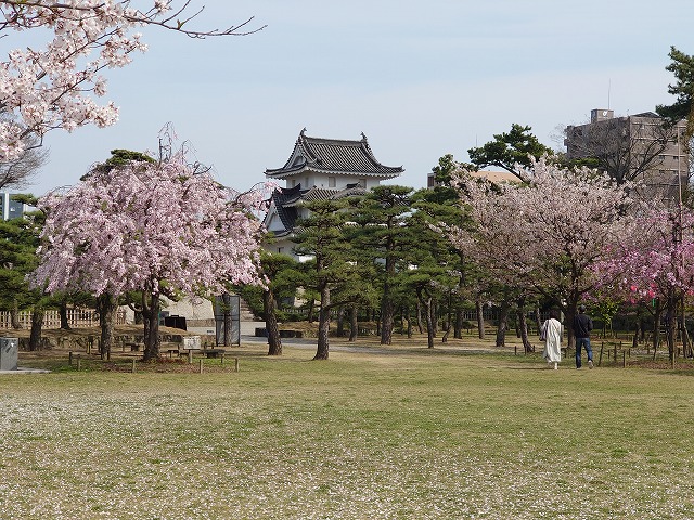 高松城 桜の馬場と艮櫓(旧太鼓櫓跡)