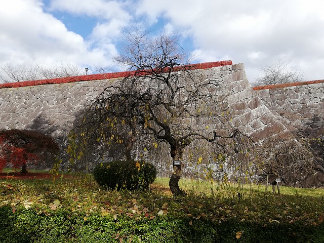 盛岡城 腰曲輪(淡路丸南側)の石垣