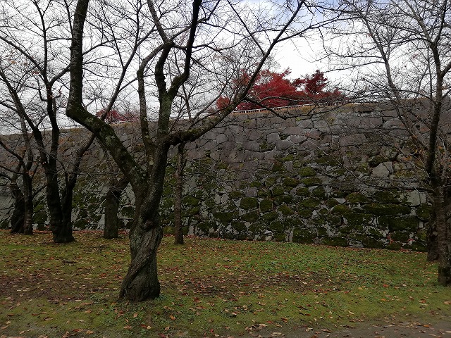 盛岡城 本丸の石垣(淡路丸から見た)