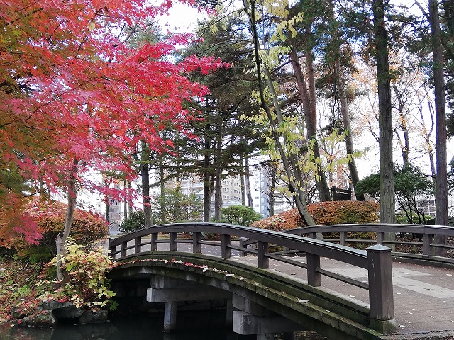盛岡城 毘沙門清水から見た橋と紅葉