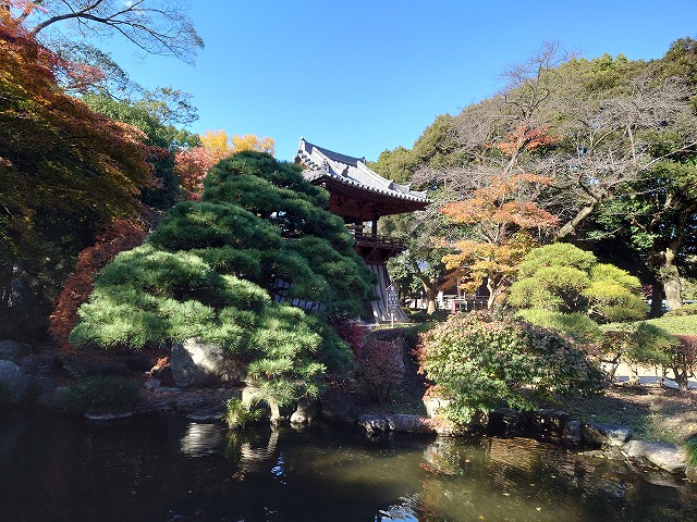 足利氏館(鑁阿寺) 日本庭園と鐘楼