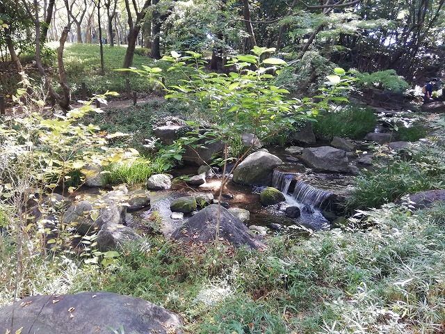 江戸城 北の丸公園内の庭園