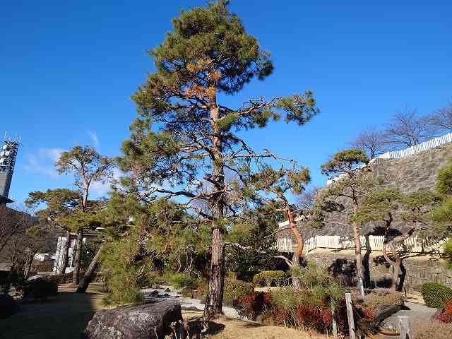甲府城 鍛冶曲輪の日本庭園