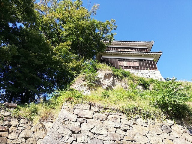 上田城 西櫓と石垣(尼が淵から)