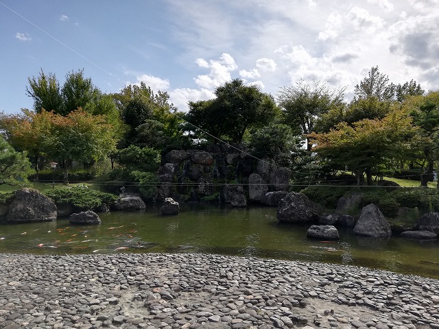 丸岡城 霞ヶ城公園庭園