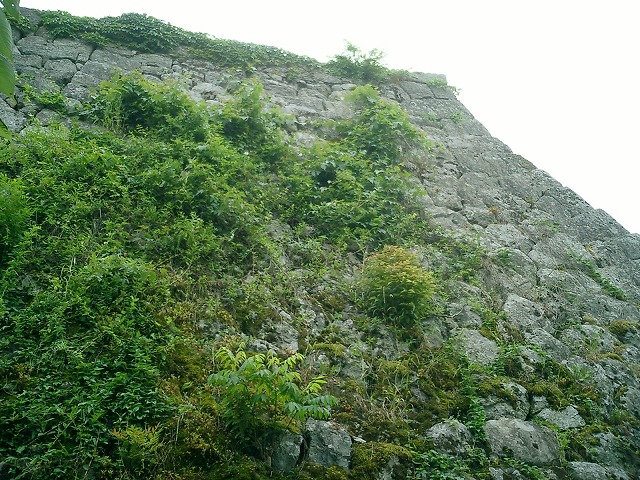 篠山城 二の丸高石垣
