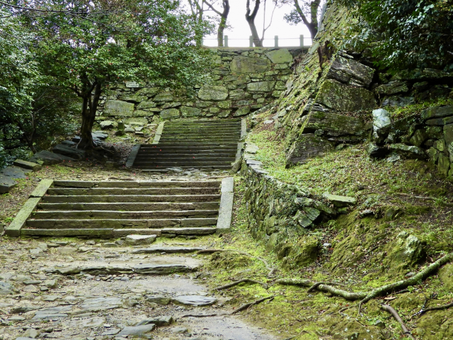 徳島城_本丸下の石段と石垣_01