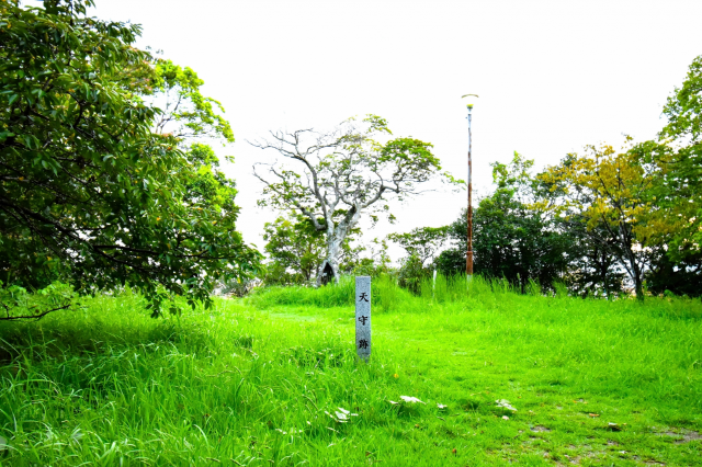 徳島城_天守跡_01