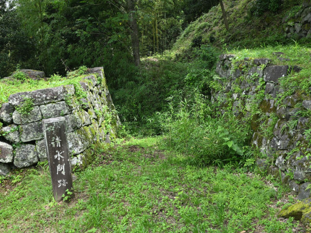 岡城_清水門跡(東の丸跡)01
