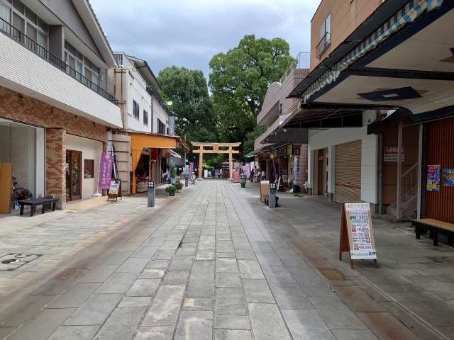 熊本城 水前寺公園の参道