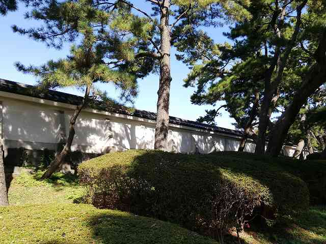 江戸城 本丸の土塀(北桔橋門付近)