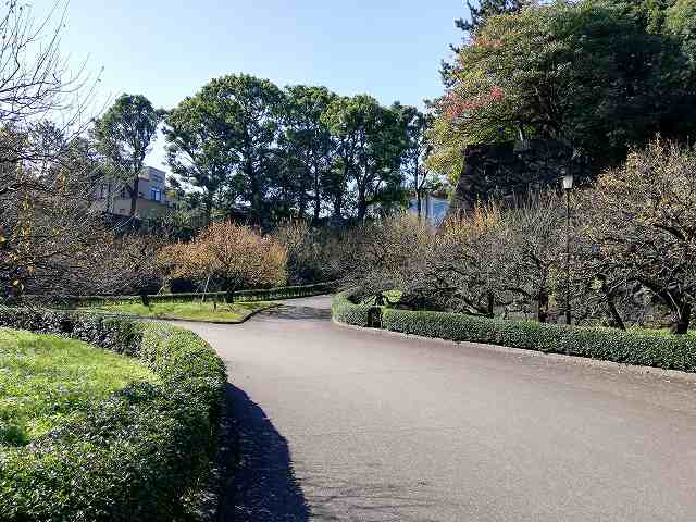 江戸城 梅林坂