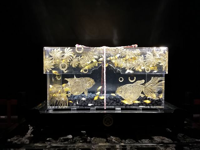 金沢21世紀美術館 展示物