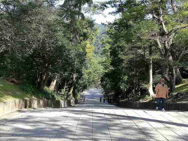 出雲大社 松の参道(下り参道)